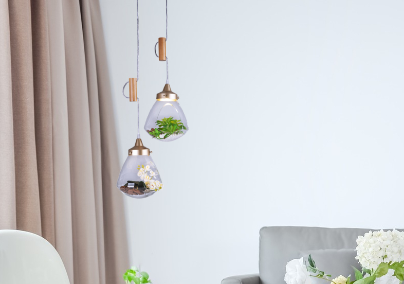 Lampara Colgante Terrario  1L 2961/1Ct/Dr 1