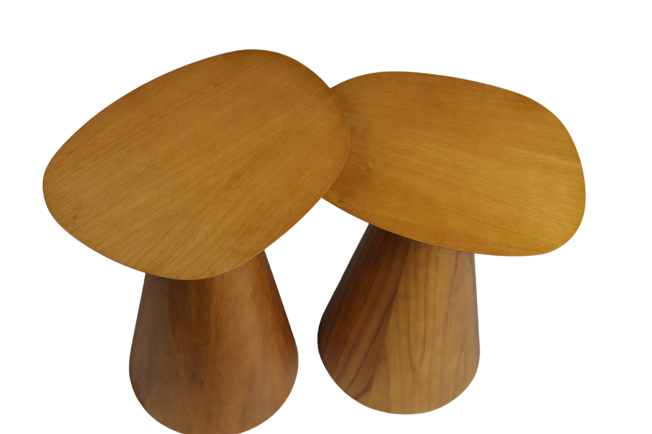 Set Mesas Alta y Baja Tarsila Miel 2