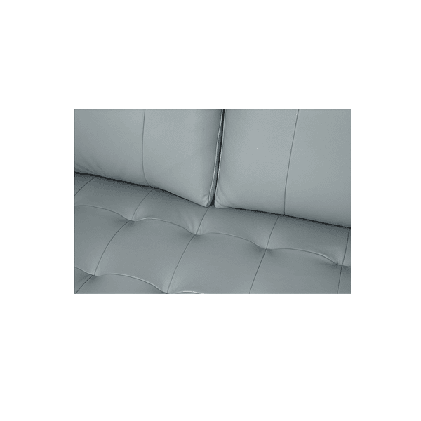 Sofa Apgar Gris 100% Cuero (11)