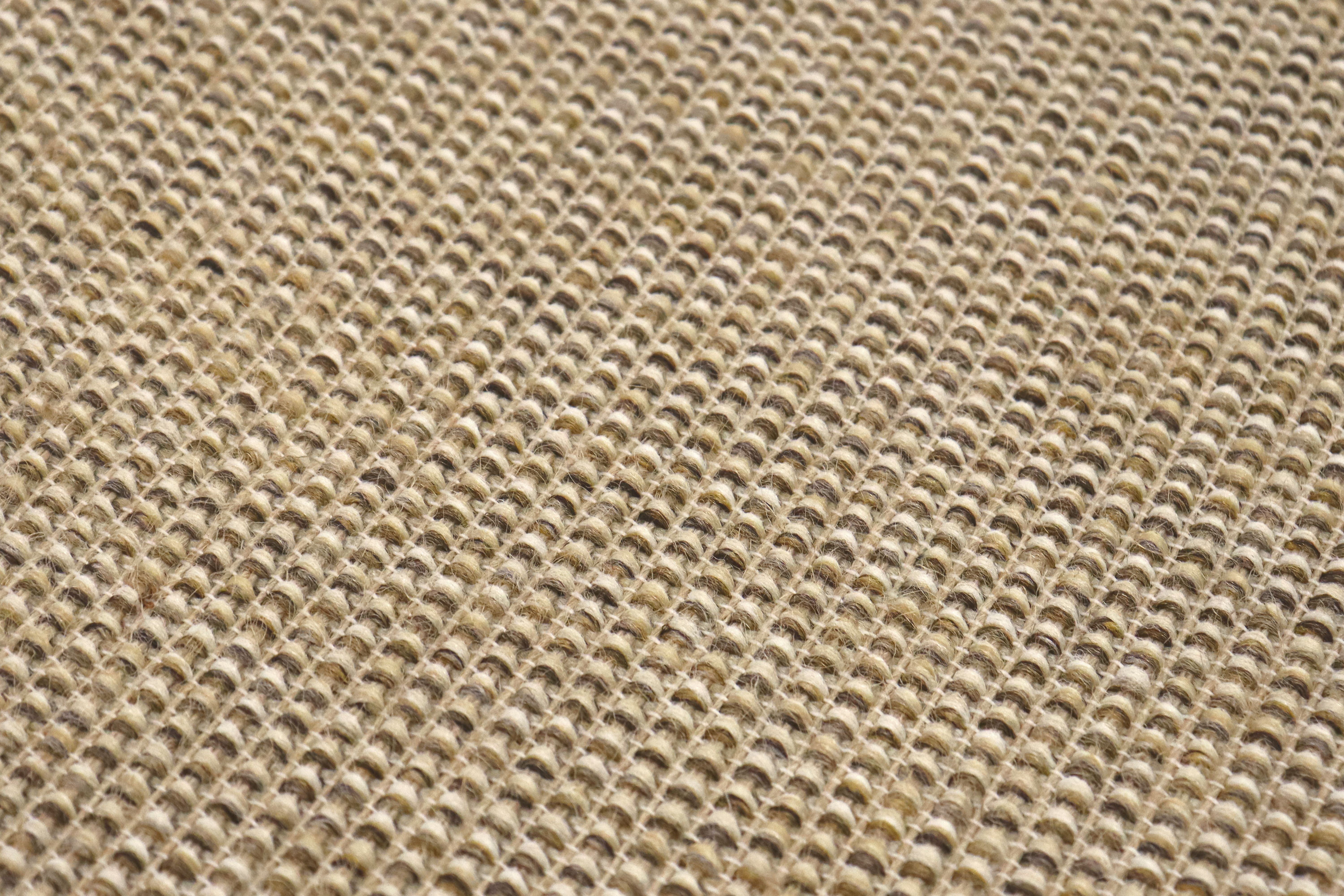 Alfombra Papilo Línea Sarja 08/19 200x250 2