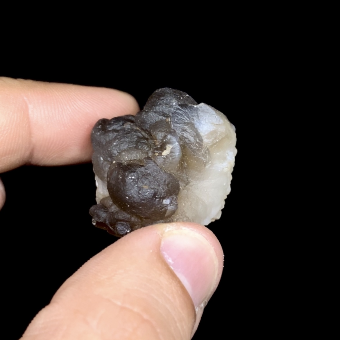Visual Reference: Calcedonia Nodular 1