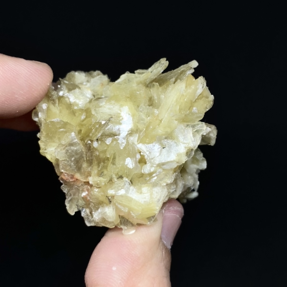 Mica dorada en cluster #7