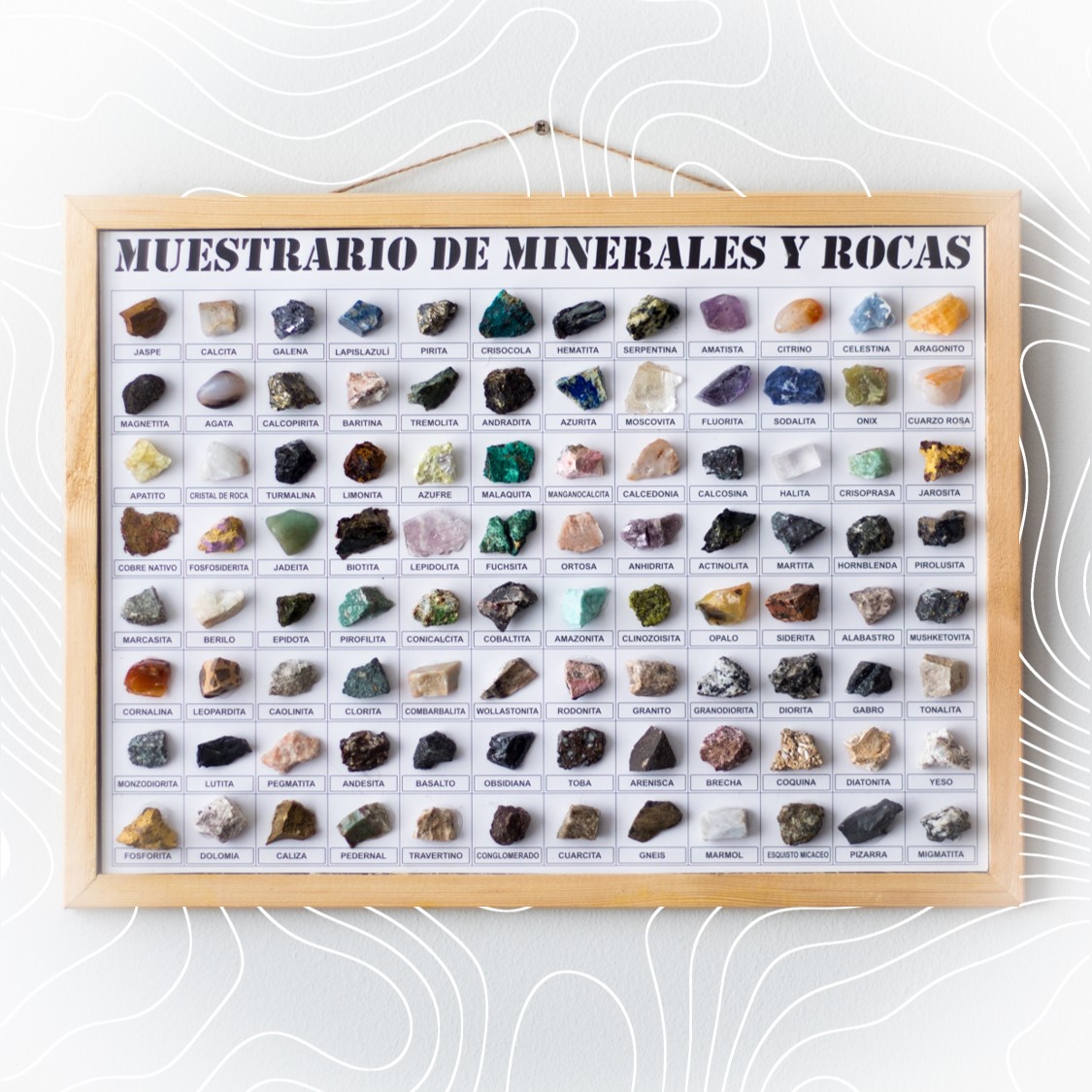 Muestrario 96 piezas Minerales y Rocas