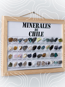 Muestrario Minerales de Chile 48 piezas
