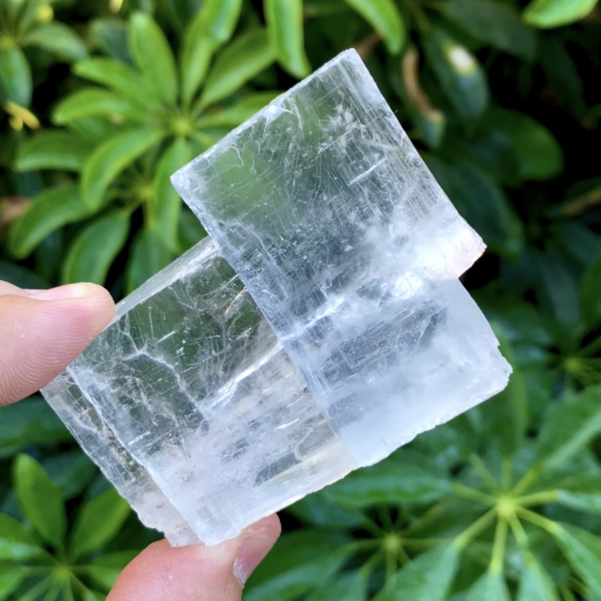 Halita sal mineral cristalizada #2