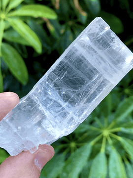 Halita sal mineral cristalizada #4