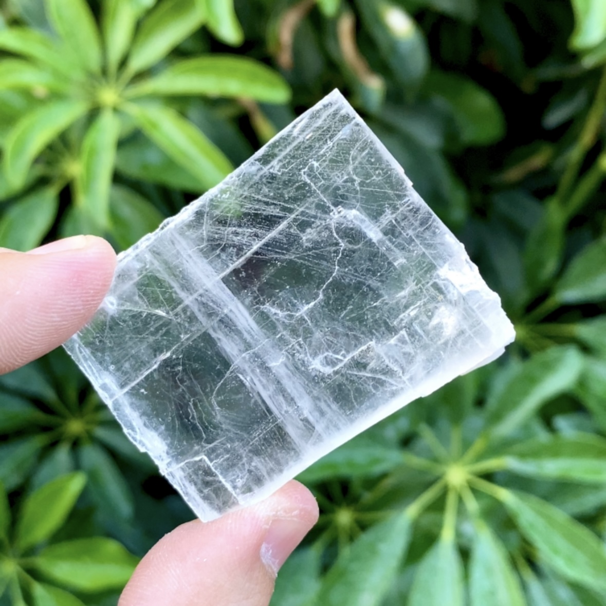 Halita sal mineral cristalizada #6