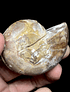 Par Fósiles de Ammonite opalescente #9