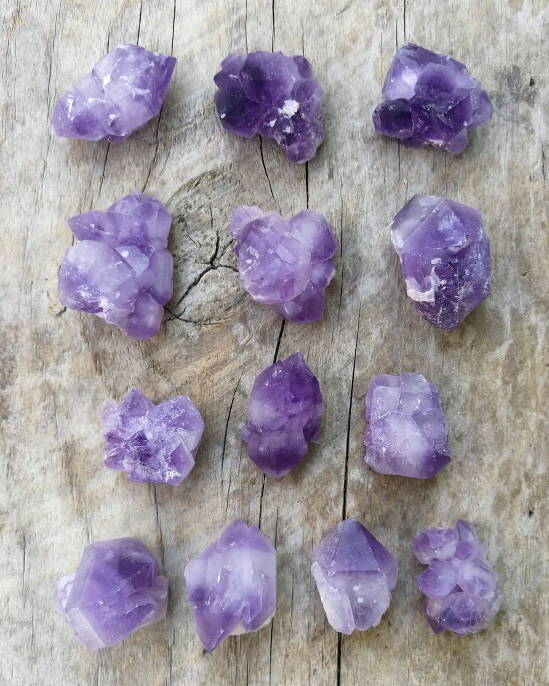 Amatista roseta clúster variedades