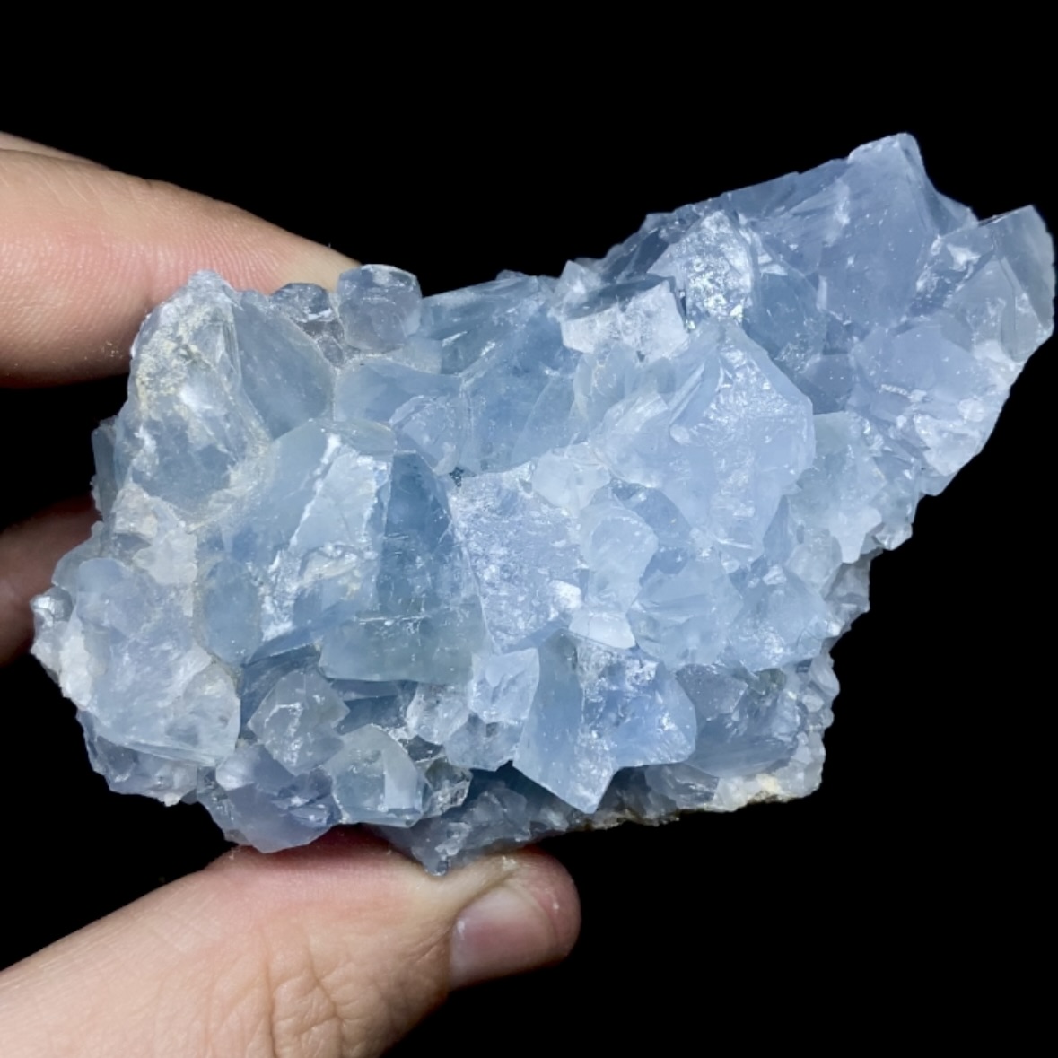 Celestina cluster #5