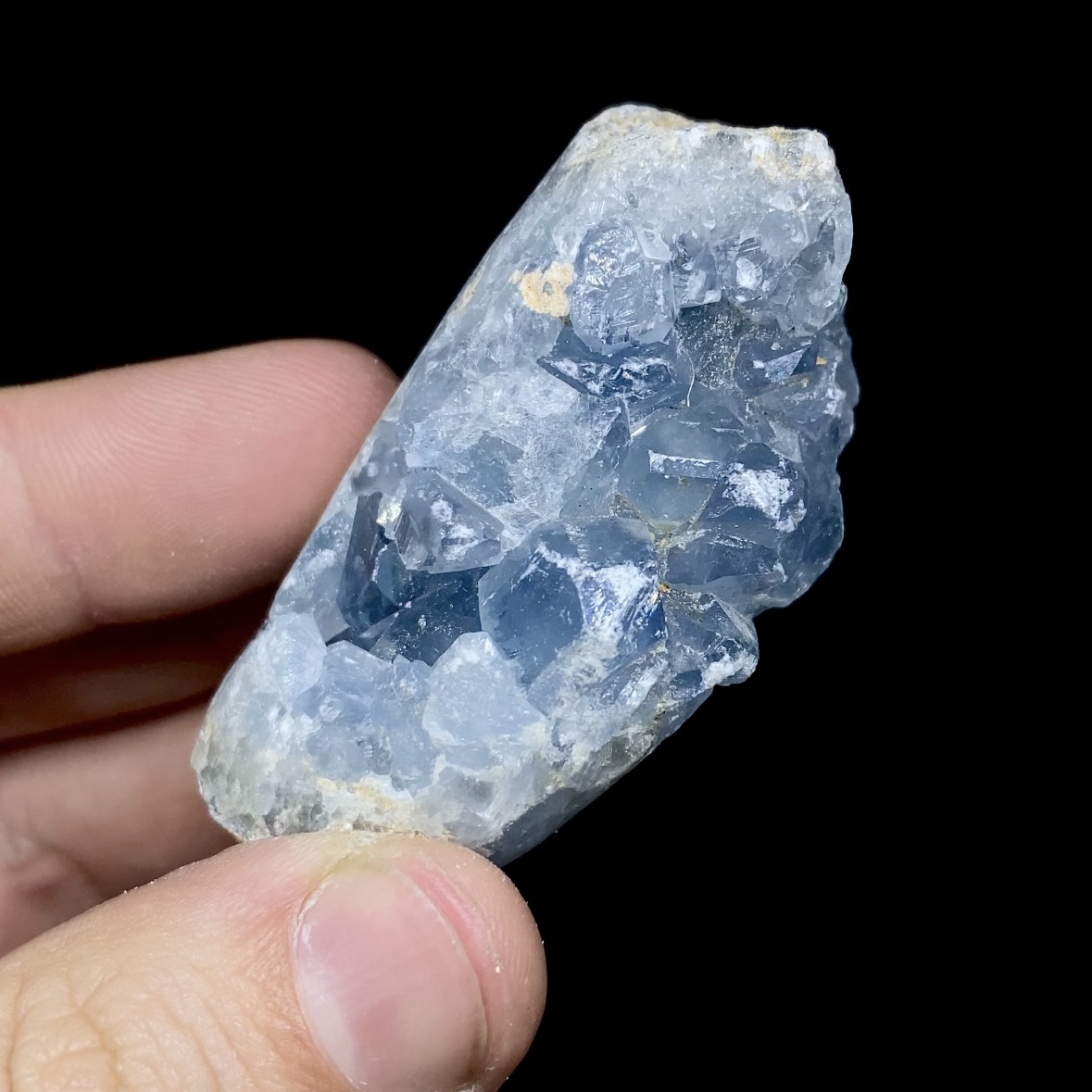 Celestina cluster #9
