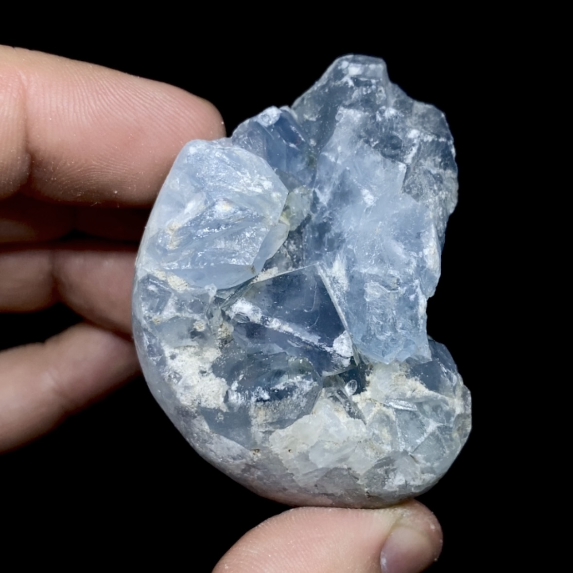 Celestina cluster #10