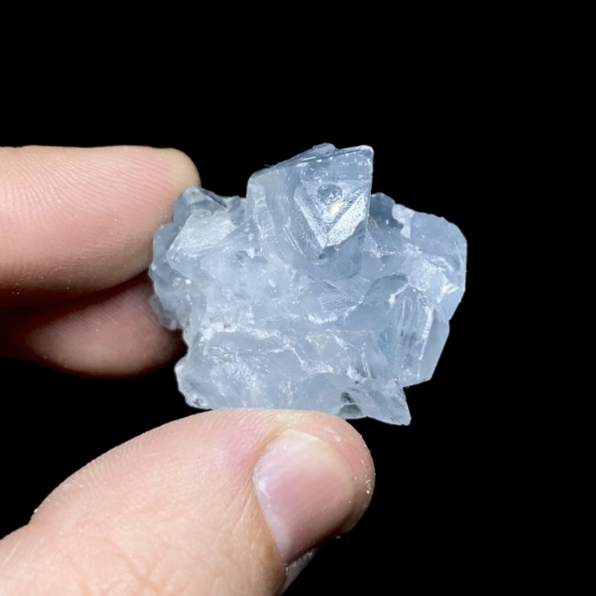 Celestina cluster #17