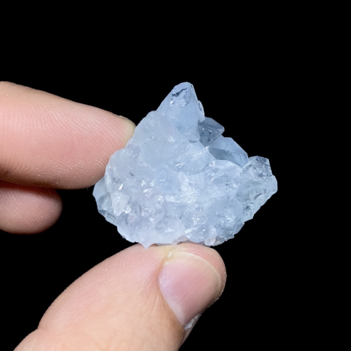 Celestina cluster #20
