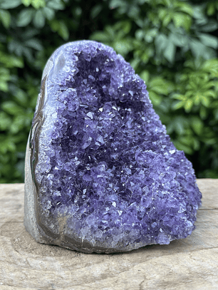 Capilla Amatista #18