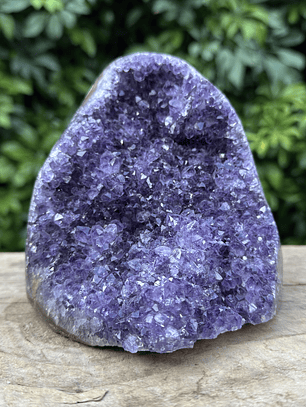 Capilla Amatista #18