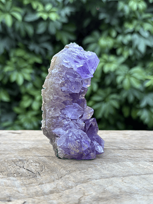 Capilla Amatista mini #23