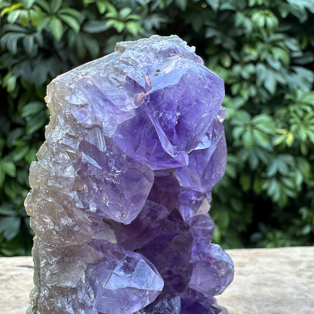 Capilla Amatista mini #23 4