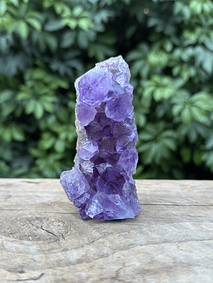 Capilla Amatista mini #23