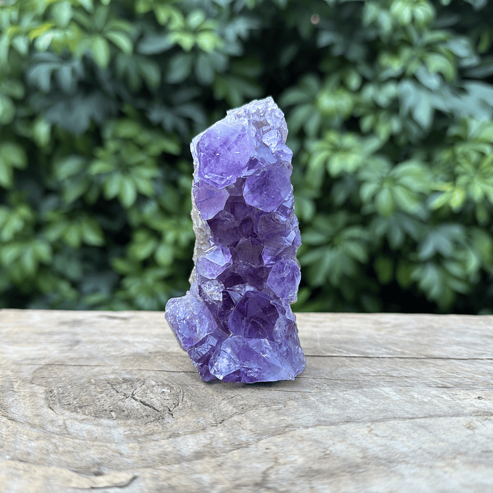 Capilla Amatista mini #23 1