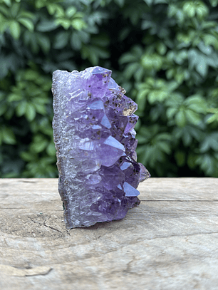 Capilla Amatista mini #25