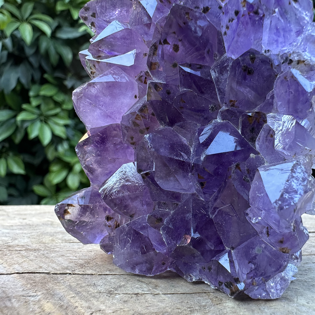 Capilla Amatista mini #25 3