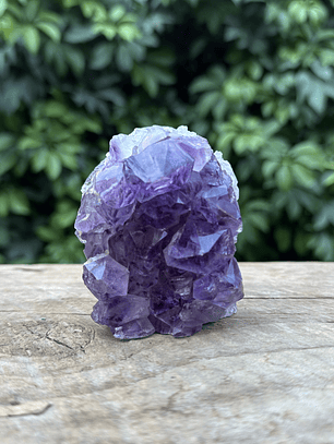 Capilla Amatista mini #26