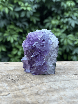 Capilla Amatista mini #26