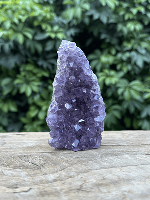 Capilla Amatista mini #29