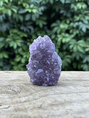 Capilla Amatista mini #27