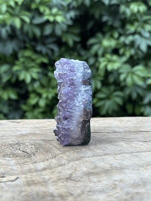 Capilla Amatista mini #27