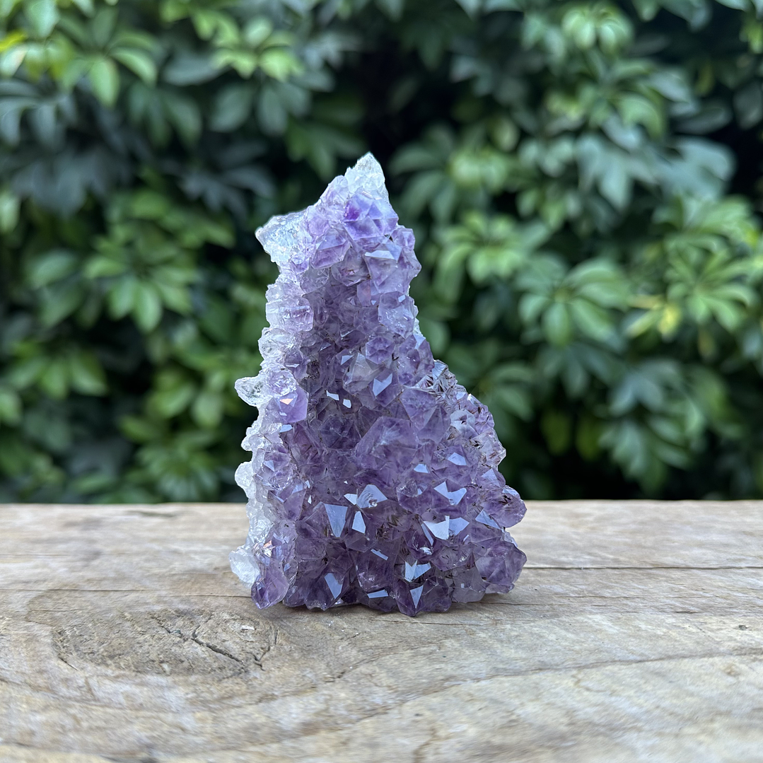 Capilla Amatista mini #30 1