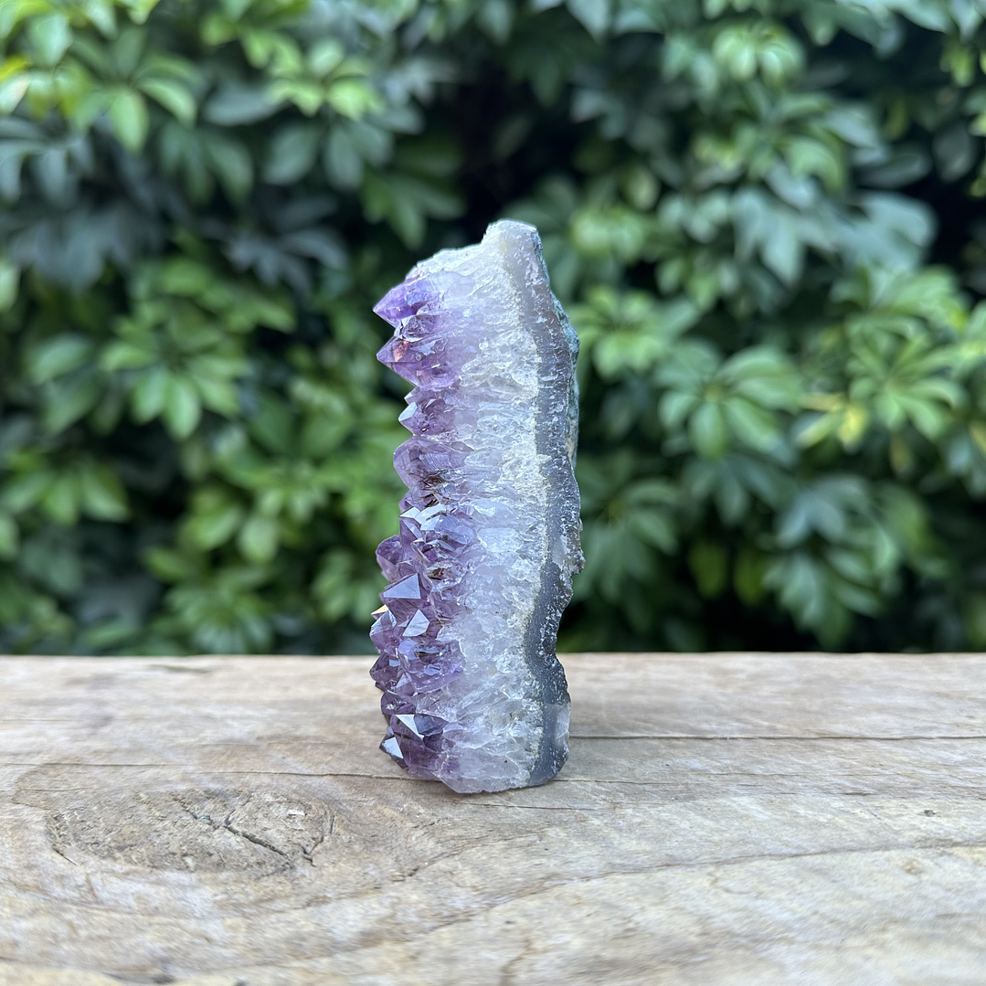 Capilla Amatista mini #30 4