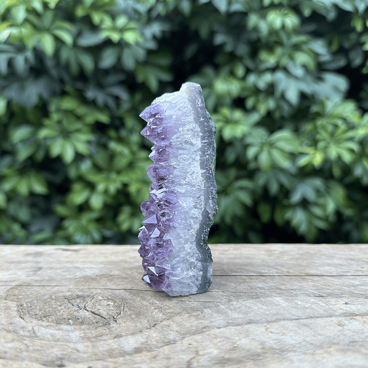 Capilla Amatista mini #30 4