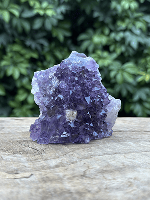 Capilla Amatista mini #31