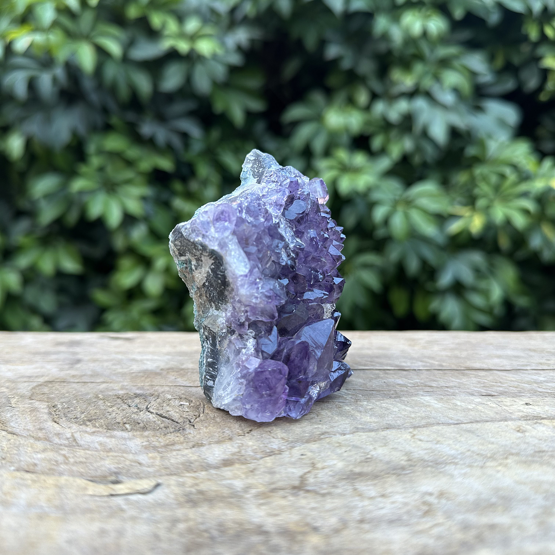 Capilla Amatista mini #31 3