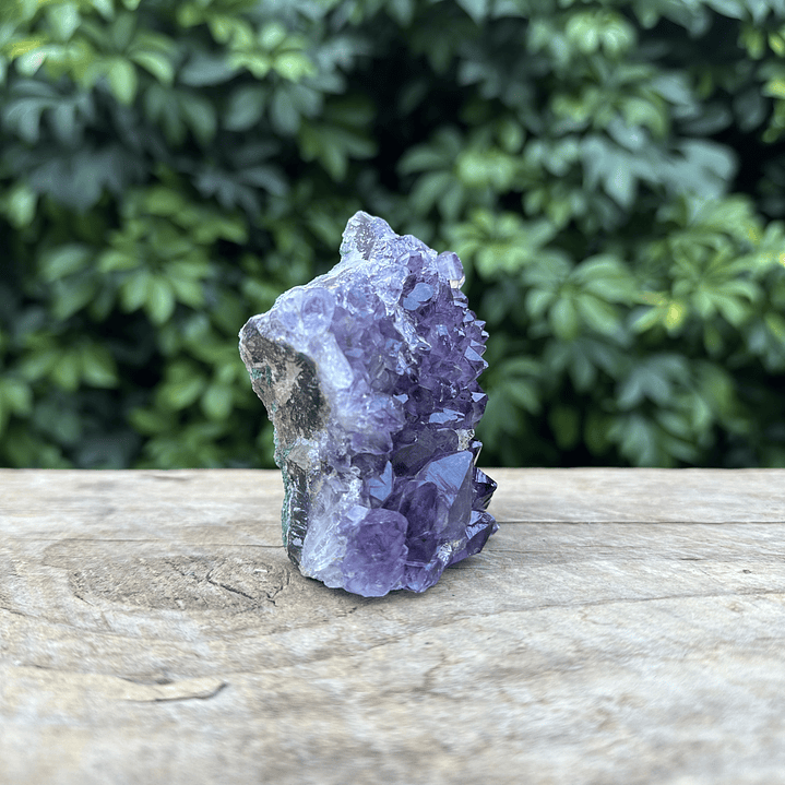 Capilla Amatista mini #31 3