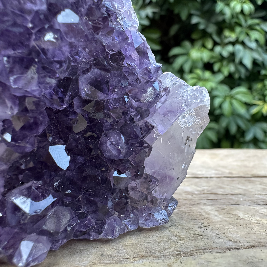 Capilla Amatista mini #31 5