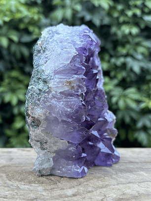 Capilla Amatista #19