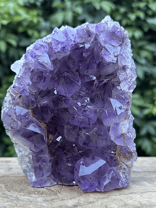 Capilla Amatista #19