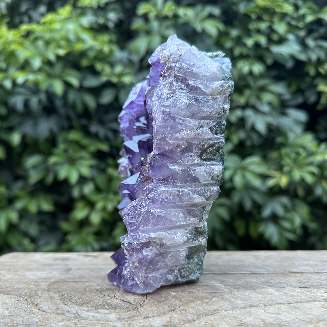 Capilla Amatista #19 3