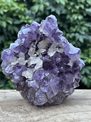 Capilla Amatista #20