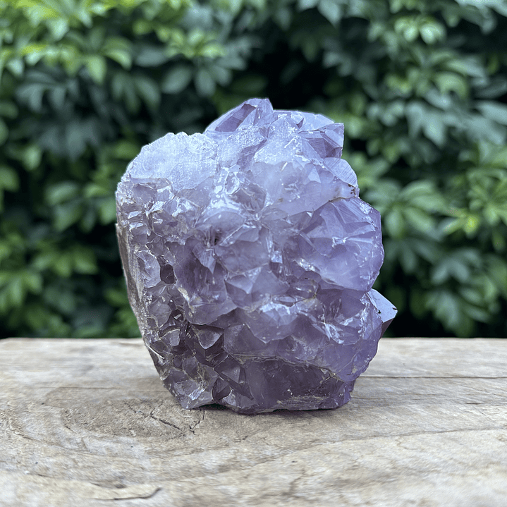 Amatista en clúster 6