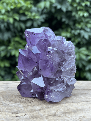 Amatista en clúster