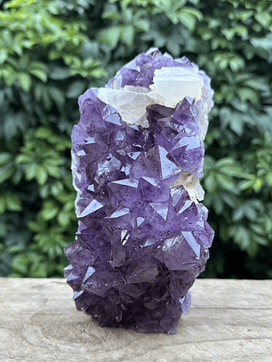 Capilla Amatista #22