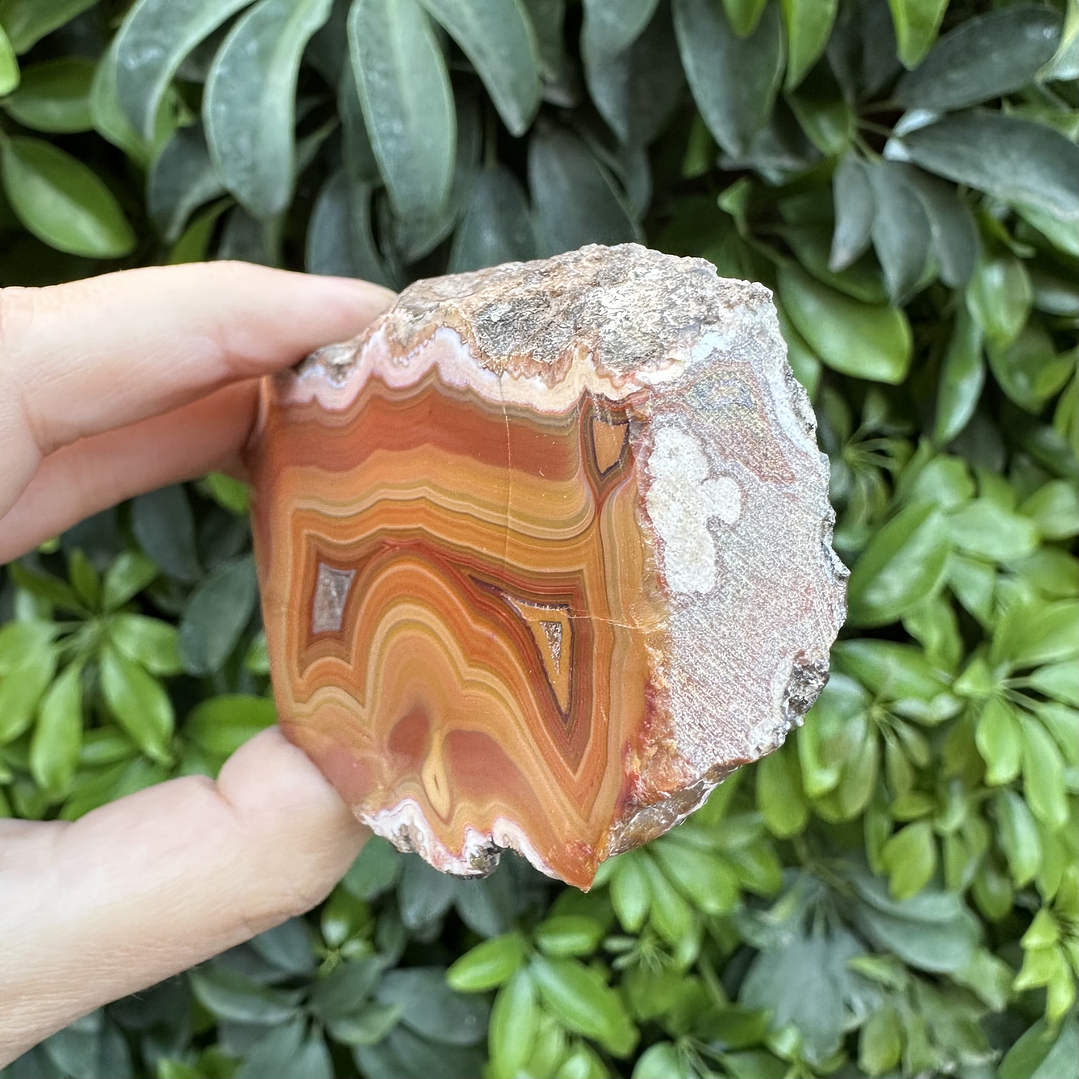 Ágata Cóndor pulido #1 4