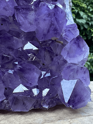 Capilla Amatista #23