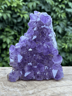 Capilla Amatista #23