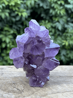 Capilla Amatista mini #32