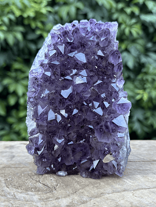 Capilla Amatista #24